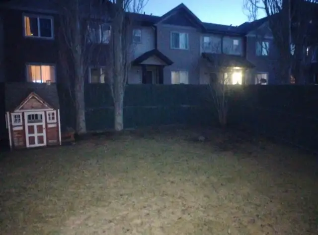 Cash Work Today - Spring Cleanup Labourers Needed - Photo 3