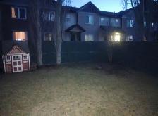 Cash Work Today - Spring Cleanup Labourers Needed - Photo 3