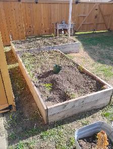 Cash Work Today - Spring Cleanup Labourers Needed - Photo 4