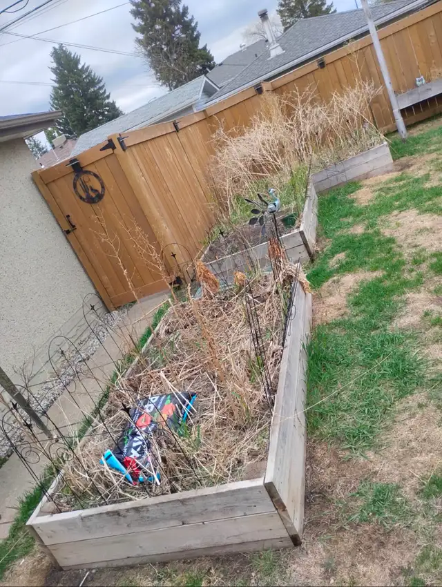 Cash Work Today - Spring Cleanup Labourers Needed - Photo 5