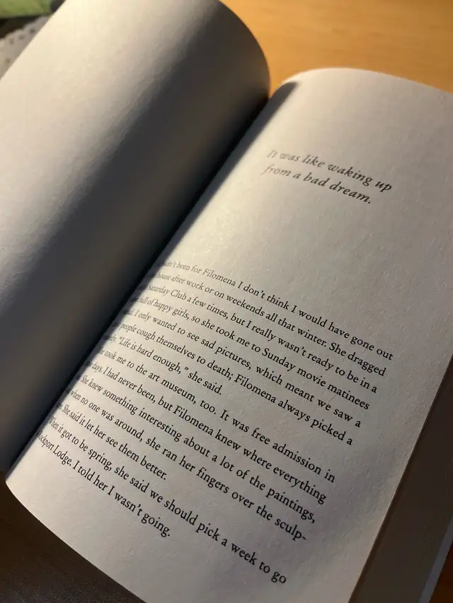 The Boston Girl Novel - Photo 3