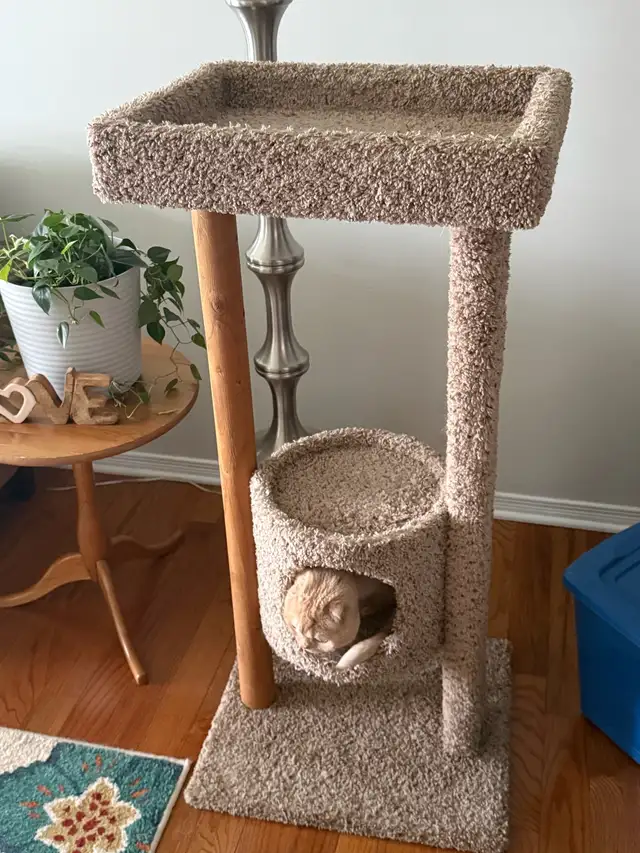 Cat Tree