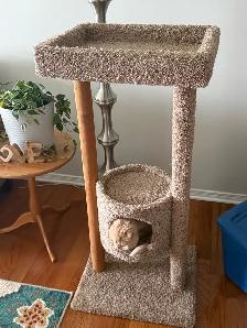 Cat Tree