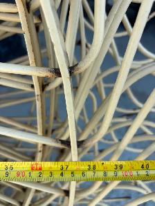 Hay Rake Wheels For Sale - Photo 2