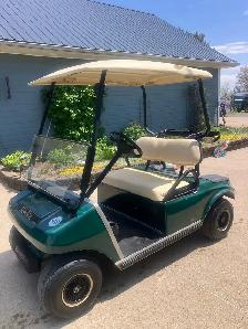 07 Clubcar DS Gas Golf Cart Sale Pending! - Photo 2