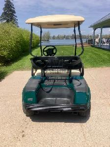 07 Clubcar DS Gas Golf Cart Sale Pending! - Photo 5
