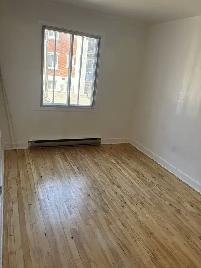 Très beau 4½ à louer immédiatement (4121, 51e rue)