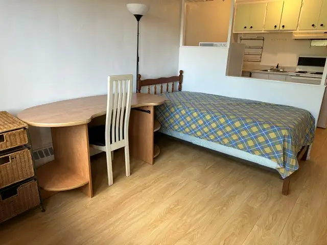 Downtown Near McGill All Included Furnitured Studio for Rent !! - Photo 2