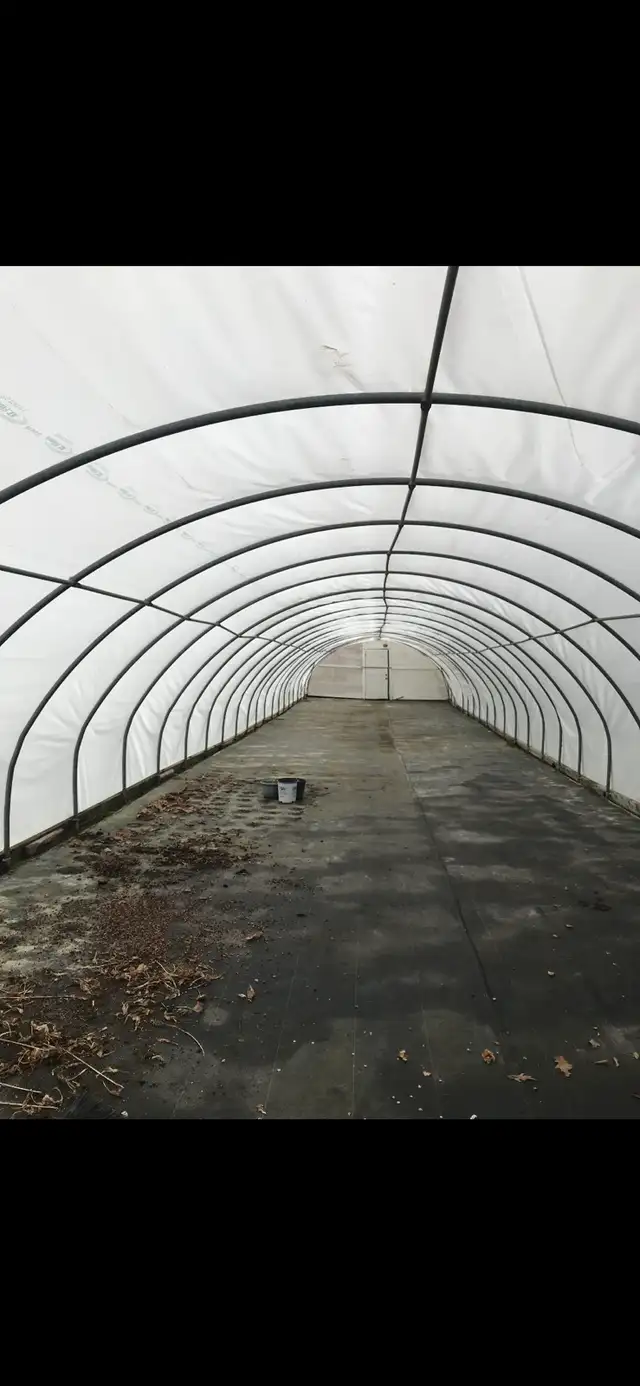 GREEN HOUSE