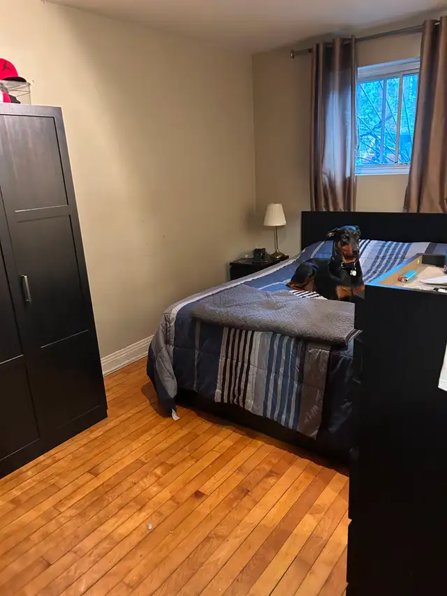4 ½ à louer — Rosemont / près de Masson (Sous-sol) - Photo 6