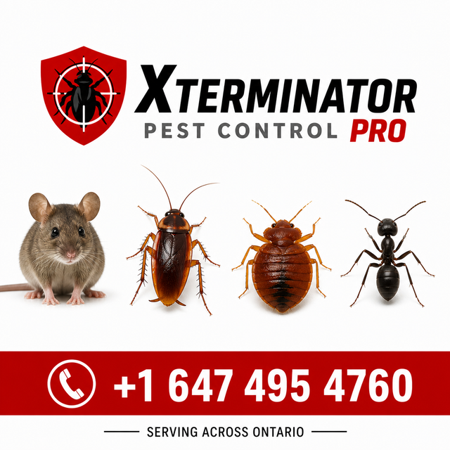 PEST CONTROL - Photo 2