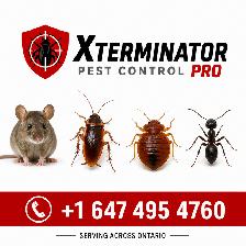 PEST CONTROL - Photo 2