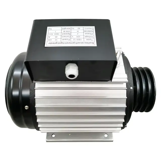 Promotion 220V Brushless Variable Frequency Generator 056860 - Photo 4
