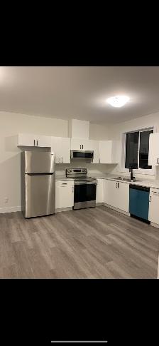 Private daylight suite 2 beds/1 bath private back yard