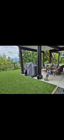 Private daylight suite 2 beds/1 bath private back yard - Photo 12