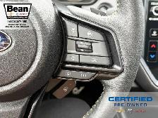 2024 Subaru Crosstrek - Photo 21