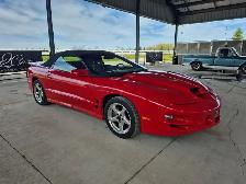 1999 Pontiac Firebird - Photo 6