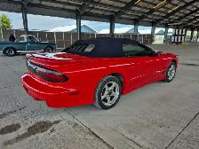 1999 Pontiac Firebird - Photo 8