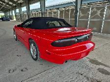 1999 Pontiac Firebird - Photo 11