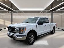 2023 Ford F-150 XLT 4WD SuperCrew 5.5' Box