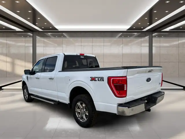 2023 Ford F-150 XLT 4WD SuperCrew 5.5' Box - Photo 4