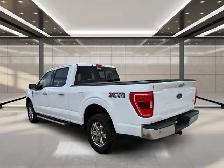 2023 Ford F-150 XLT 4WD SuperCrew 5.5' Box - Photo 4