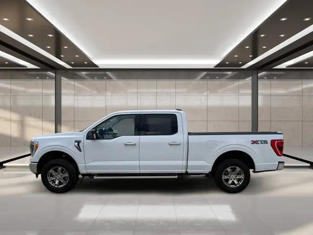 2023 Ford F-150 XLT 4WD SuperCrew 5.5' Box - Photo 5