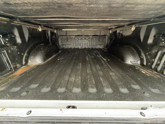 2023 Ford F-150 XLT 4WD SuperCrew 5.5' Box - Photo 7