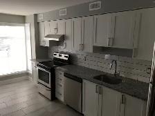 Steps to Parliament Hill - 1 bedroom apartment - Photo 2