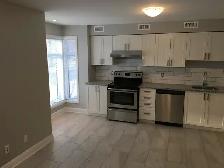 Steps to Parliament Hill - 1 bedroom apartment - Photo 3