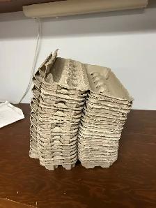 FREE Egg Cartons