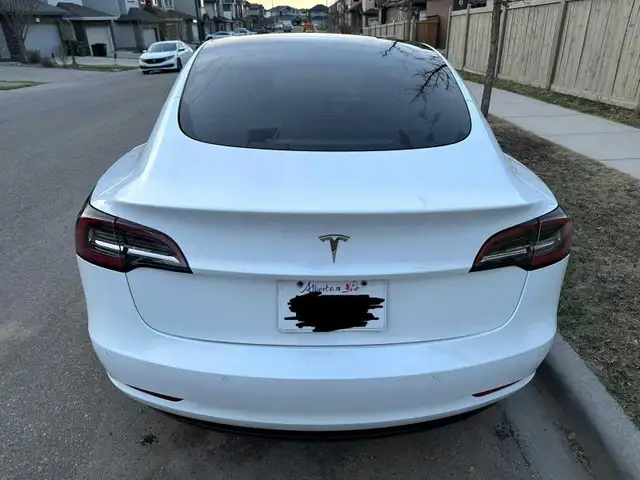 2021 Tesla Model 3 RWD For Sale. - Photo 6