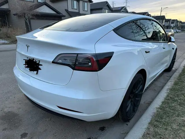 2021 Tesla Model 3 RWD For Sale. - Photo 7