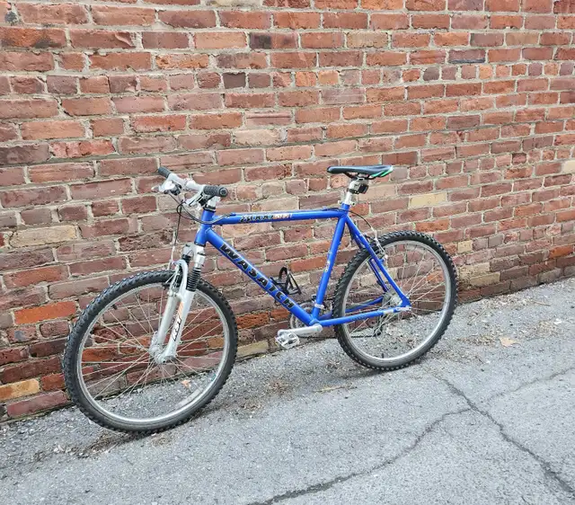Mountain bike
