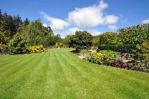 Professional Lawn Maintenance and Landscaping Servces - Photo 4