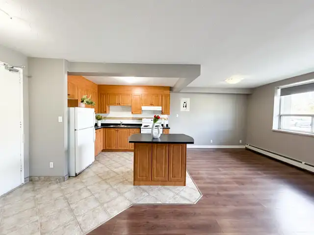 Southend One Bed One Bath For Rent
