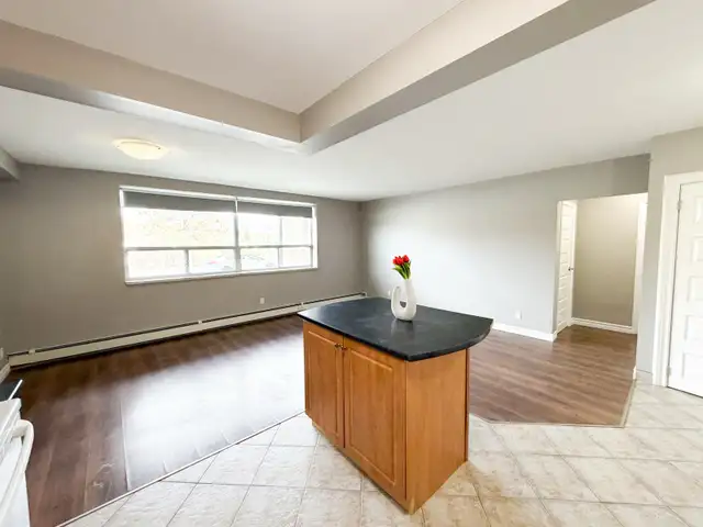 Southend One Bed One Bath For Rent - Photo 2