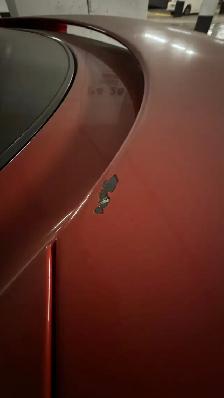 2000 Camaro Z28 LS1 - Photo 5