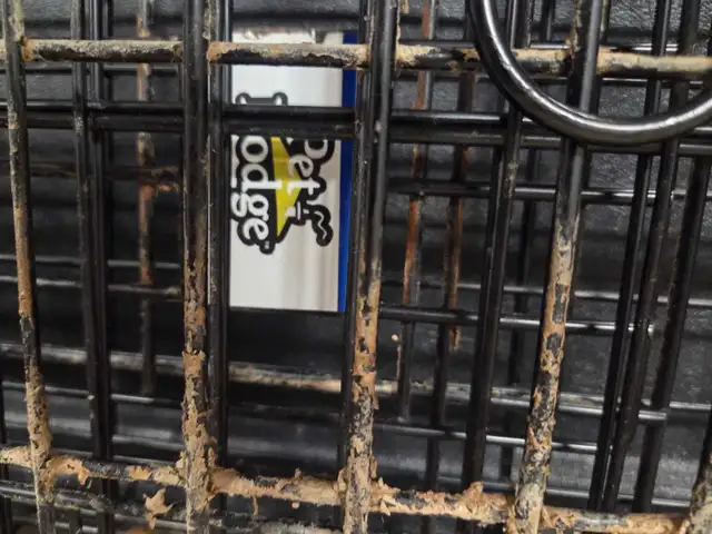 Large Dog Crate - Photo 2