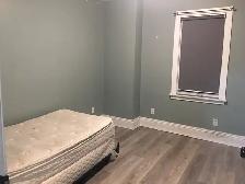 1 Room Available for Rent near McMaster University (Female) - Photo 2