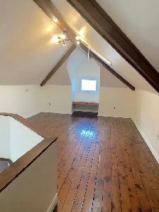 Modern Loft 2 Bed w/ Parking & AC | $1750   Util Aug 1 Avail - Photo 5