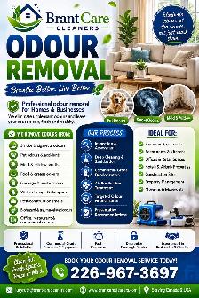 Odour Removal Service
