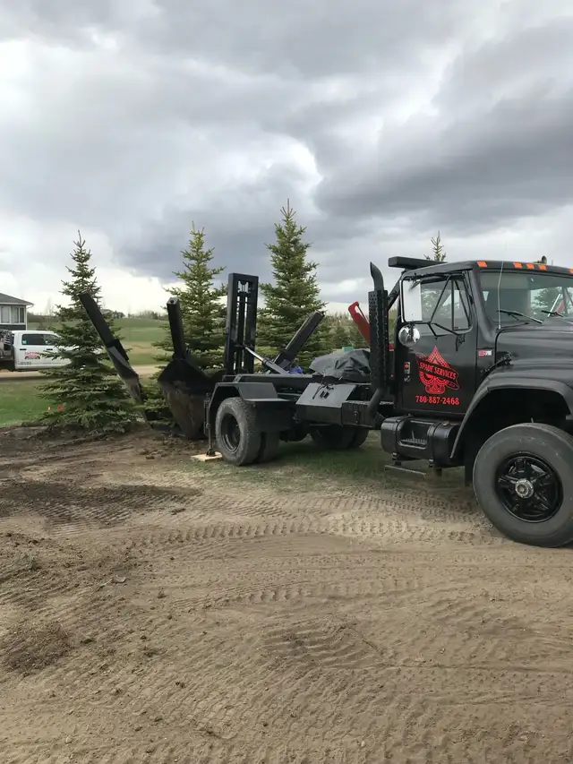 Tree moving - Photo 2