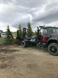 Tree moving - Photo 2