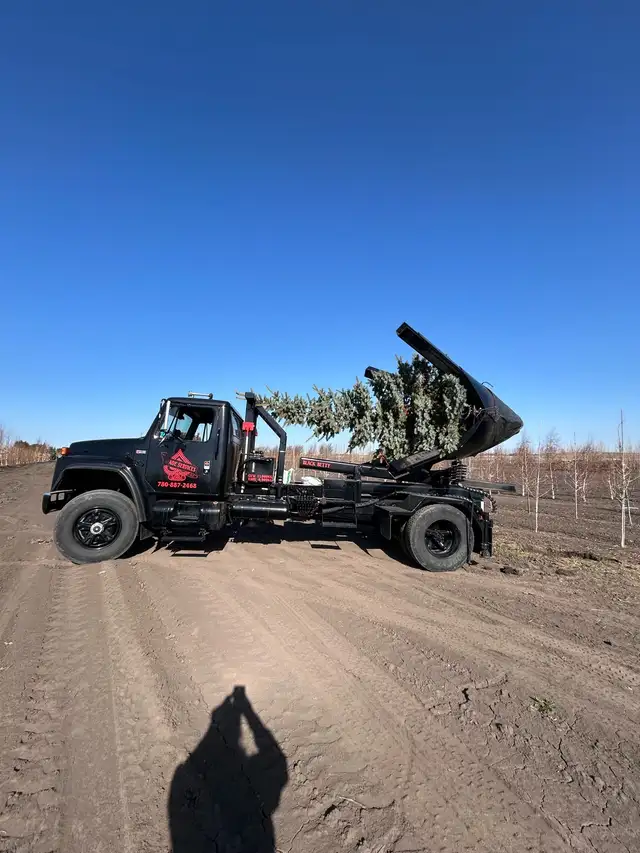 Tree moving - Photo 6