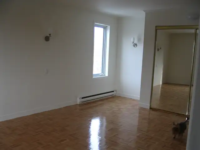 Appartement a louer (4 1/2 - 2e étage d'un duplex) - Photo 3