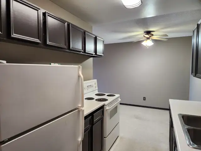 Sunvalley Court #24 - Photo 5