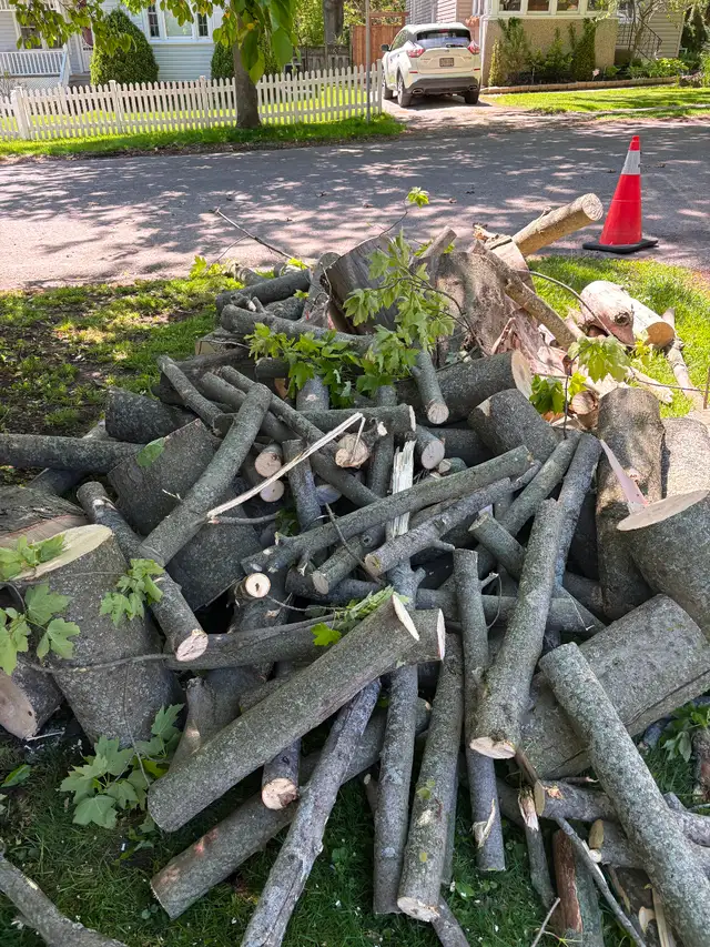 FREE FIREWOOD