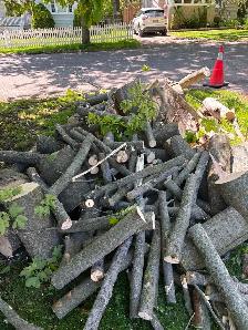 FREE FIREWOOD