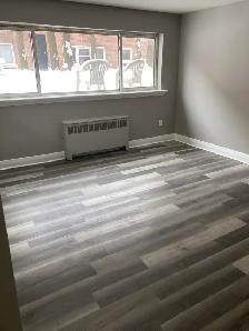 Spacious 2 Bed June 1st $1,495 Free heat & water - Photo 4